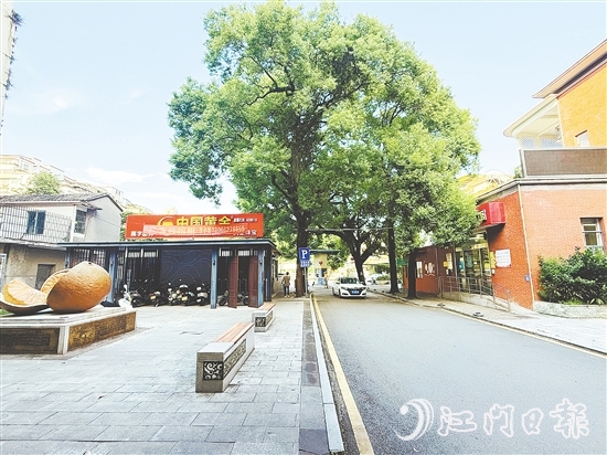 會城街道文體服務(wù)中心側(cè)地塊現(xiàn)狀。