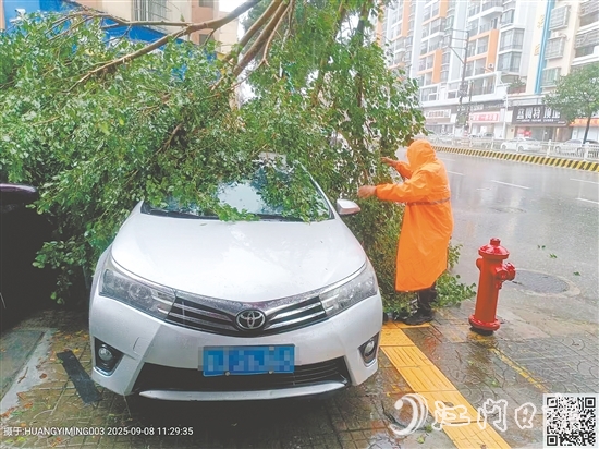 平安產(chǎn)險(xiǎn)查勘員在巡查中看到一輛汽車被倒下的大樹壓住，馬上聯(lián)系車主并協(xié)助清理。