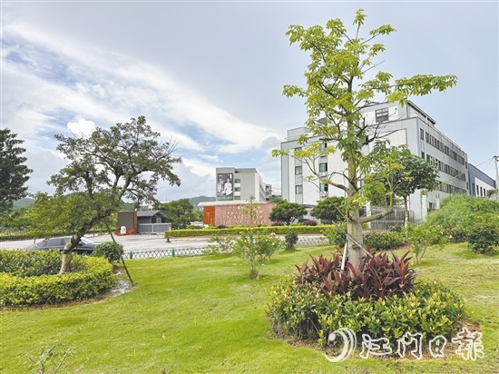 口袋公園不僅為社區(qū)拓展了綠色空間，更成了居民茶余飯后的休閑新去處。