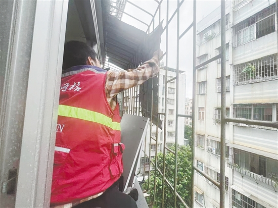 蓬江區(qū)育德社區(qū)網(wǎng)格員協(xié)助屋主及時(shí)將松動(dòng)的鐵皮擋雨板拆下，消除安全隱患。任佳燕