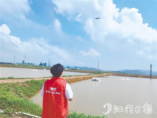 江門人保財(cái)險(xiǎn)工作人員現(xiàn)場開展前置性風(fēng)險(xiǎn)排查與防護(hù)指導(dǎo)。