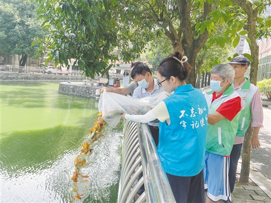 大家協(xié)力將“滅蚊魚”投放到甘化新村的人工湖。