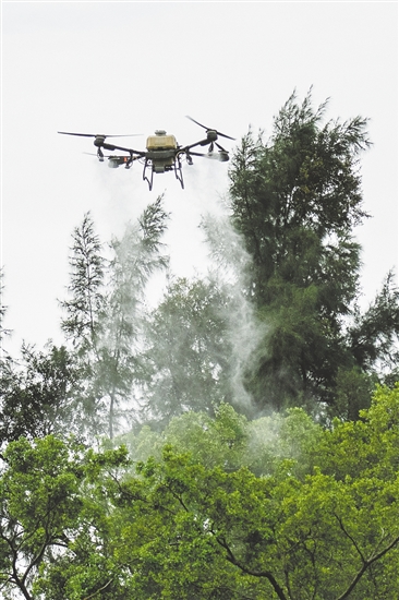 無(wú)人機(jī)在滅蚊防疫攻堅(jiān)戰(zhàn)中大顯身手。圖為鶴山采用無(wú)人機(jī)精準(zhǔn)開展滅蚊工作。