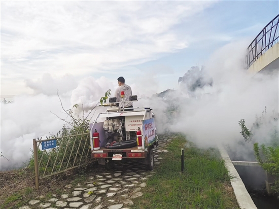 開平市塘口鎮(zhèn)通過(guò)多種方式應(yīng)用煙霧機(jī)滅蚊。圖為煙霧機(jī)搭配農(nóng)用車對(duì)蚊蟲進(jìn)行滅殺。