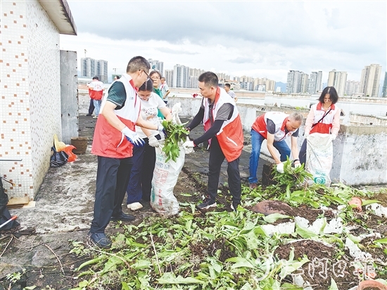黨員干部在老舊居民樓頂清理廢棄花盆、雜物、亂生植物，不放過任何一個衛(wèi)生死角。