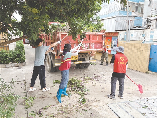 蓬江區(qū)在環(huán)市街道里村社區(qū)舊村片區(qū)開(kāi)展攻堅(jiān)行動(dòng)。圖為環(huán)境整治組工作人員清理野生綠植。任佳燕