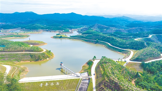 位于宅梧鎮(zhèn)的源林生態(tài)樂園項目。宅梧鎮(zhèn)供圖