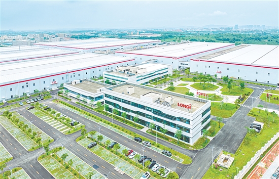 鶴山隆基綠能項目。