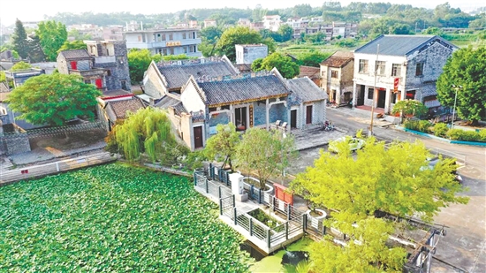 漫步在霄南村，一間間青磚灰瓦的老屋安靜佇立。