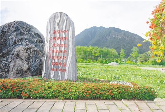 陳白沙景觀石是城西村的網(wǎng)紅打卡點。