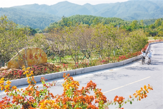 村道漂亮了，不少騎友從沙坪騎行到城西村，呼吸這里清新的空氣。