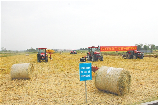 2025年江門市冬種生產(chǎn)現(xiàn)場會展示的農(nóng)機主要來自恩平市社村合作農(nóng)業(yè)發(fā)展有限公司，其中部分農(nóng)機技術正在申報專利。