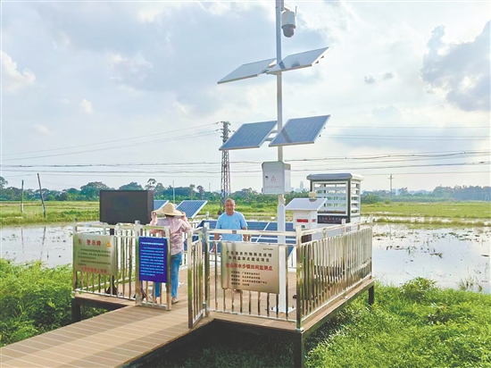 臺(tái)山市著力打造全域覆蓋的智能監(jiān)測(cè)網(wǎng)絡(luò)，讓“慧眼”遍布田間地頭。