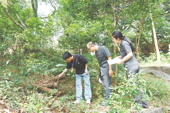 “林長+森林法官”聯(lián)合巡林，守護生態(tài)環(huán)境。