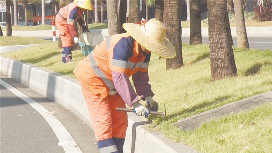 環(huán)衛(wèi)工人仔細(xì)清理綠化帶、溝渠雜草。