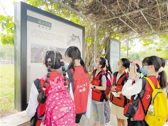 小記者們邊走邊看，感受江海城市品質(zhì)提升。