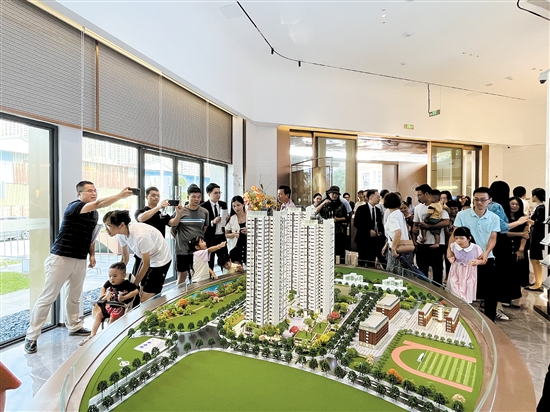 新盤人氣旺。