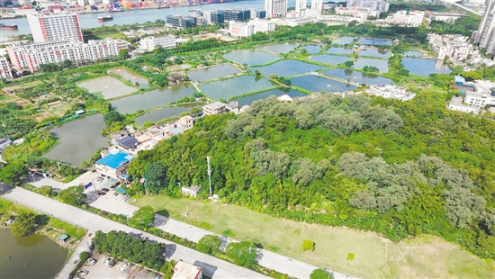 江門市JCR2025-148（蓬江22）號地。