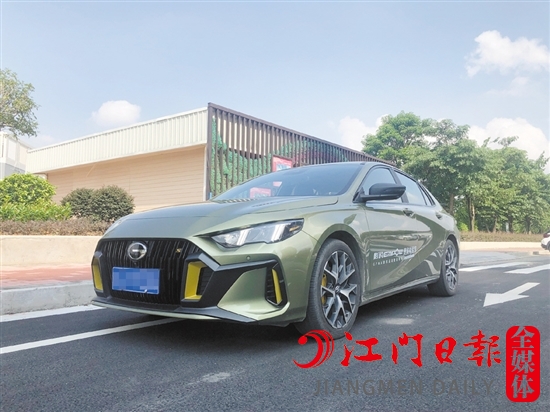 影豹的外觀運(yùn)動感十足。