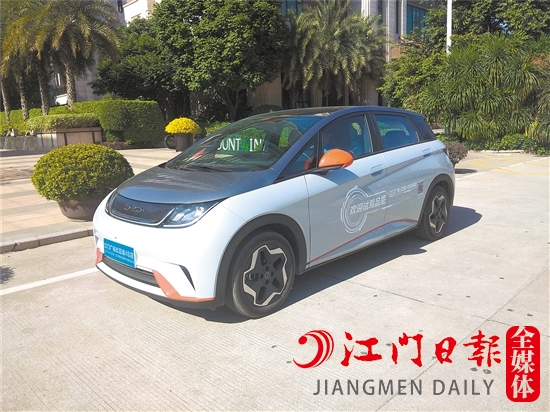 海豚外觀年輕、可愛。