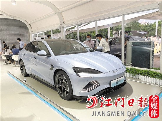 海豹外觀年輕運(yùn)動。