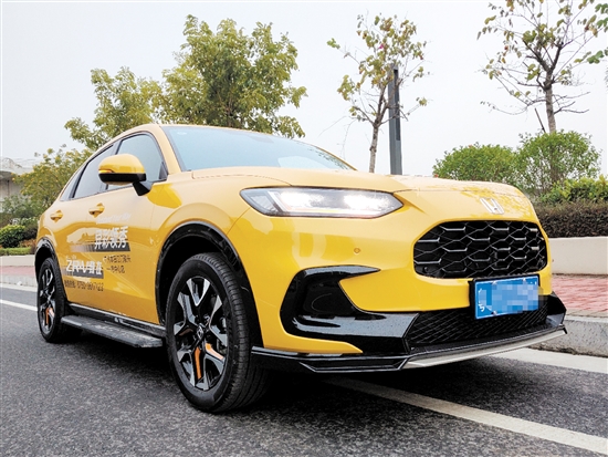 致在配色大膽，充滿運(yùn)動氣息。