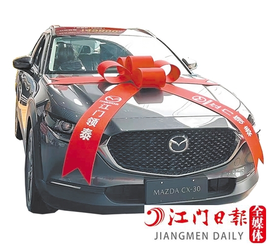 合資及豪華品牌